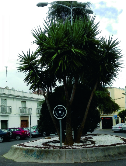 Jardín en Plaza Cipriano García Piñero