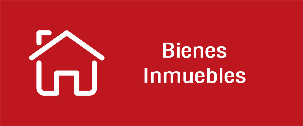 Bienes Inmuebles